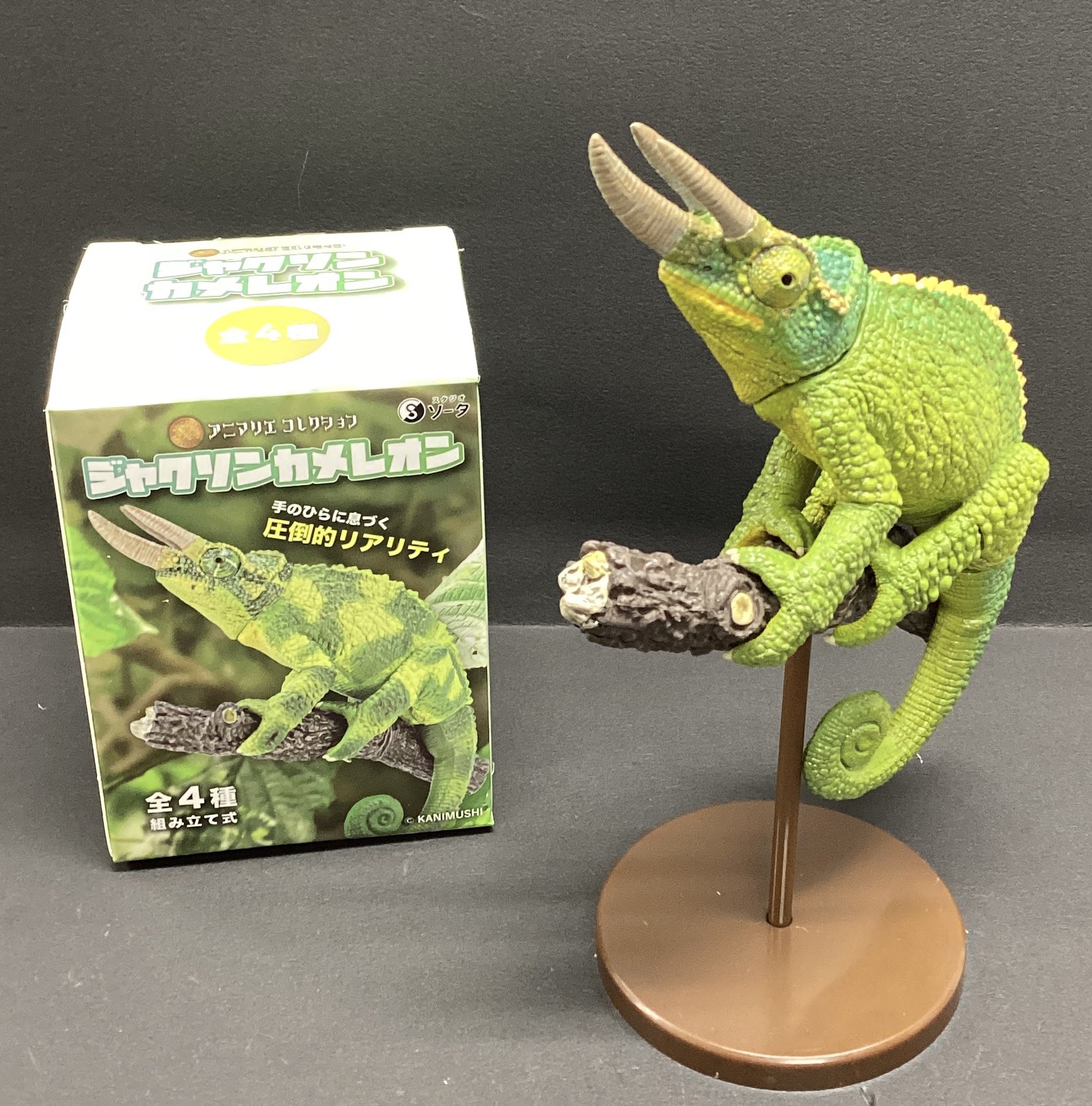 龍とカメレオン(1) 〜（4） セット 初版 新品未開封 特典付き GCJ『龍とカメレオン』1巻 4/21(金)発売記念フェア開催