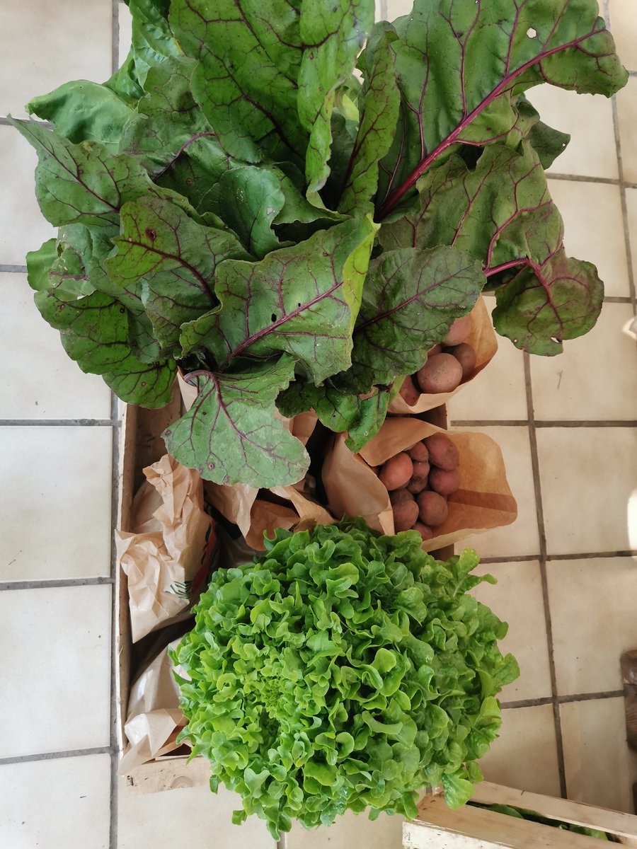 A_Beauc's tweet photo. Le samedi, c'est panier de #legumes.
Pour 15€, un panel de légumes de notre production, des pommes de terre, de quoi se faire plaisir à tout petit prix.
C'est aussi l'occasion de #communiquer et #echanger avec les consommateurs pour expliquer notre métier.
@Fragritwittos https://t.co/0EM6Co9pWR