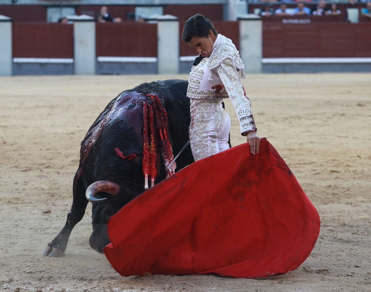 purezatoros's tweet photo. No me olvido de Ángel Téllez. Nos hizo ilusionarnos en el San Isidro de 2022. La oportunidad le llegará de nuevo, seguro. https://t.co/bUGKjlSyM6