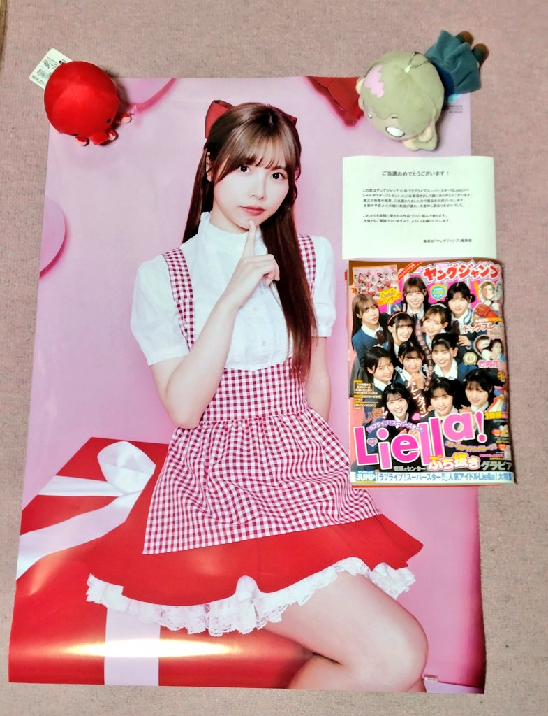 Liyuu 鯉友大集合 等身大タペストリー（タペストリーA付き） Liyuuオフィシャルファンクラブ「YuU Koi Days」限定イベント