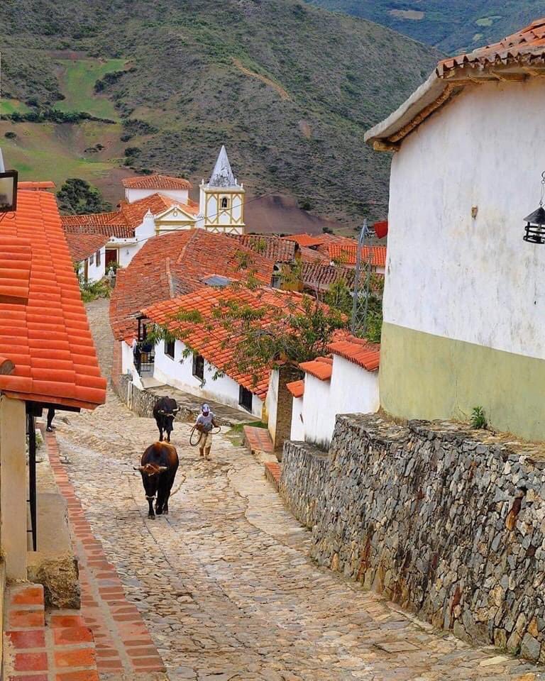 Bella postal 
LOS NEVADOS ubicados a 2700 msnm en el Parque Nacional Sierra Nevada…Edo Merida 🇻🇪🇻🇪🇻🇪🇻🇪🇻🇪🇻🇪🇻🇪🇻🇪
📸 @hectornaturephoto
