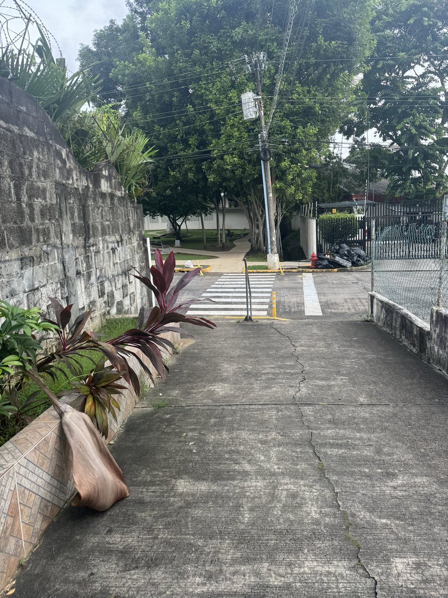 Desde hace ya meses, he estado viendo indigentes en el parque Benito Juarez en El Carmen y hoy caminando por la vereda q está entre panadería Noel y dicho parque uno durmiendo. Es una situación q genera inseguridad y se deberían encontrar estrategias para abordarlo. <a href="/CesarKiamco/">César Kiamco</a>