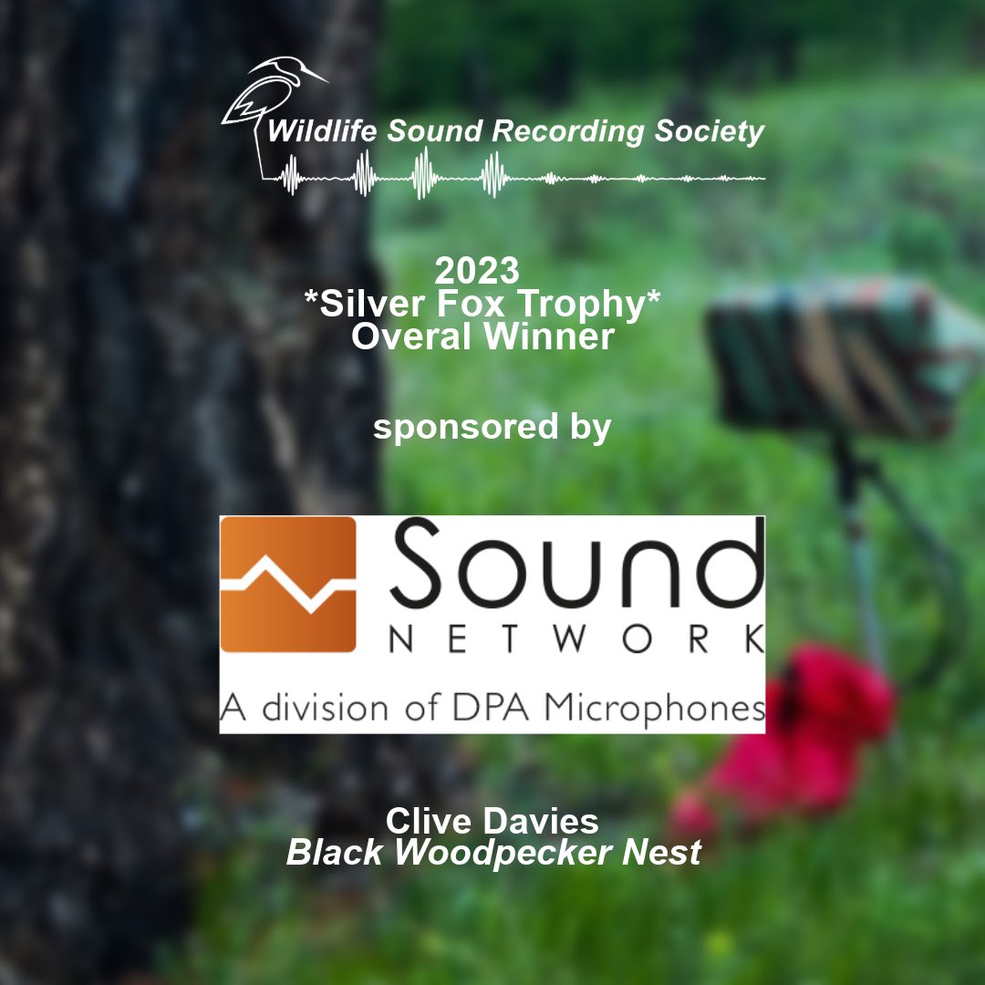 Wildlife Sound tweet media