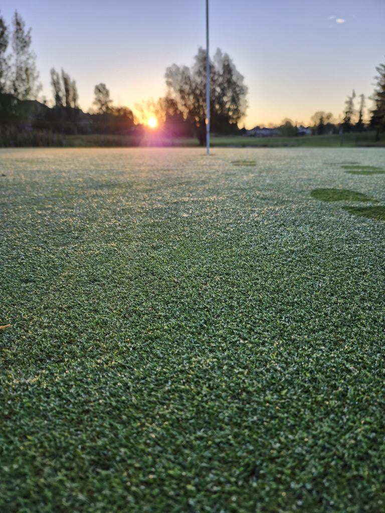 Dale Ekman tweet media