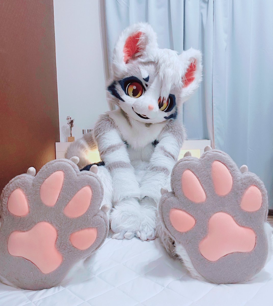 ご飯食べたよ🍚