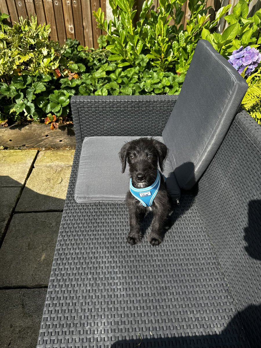 ELLEphonine's tweet image. Grim up norff. #CosmoSummer