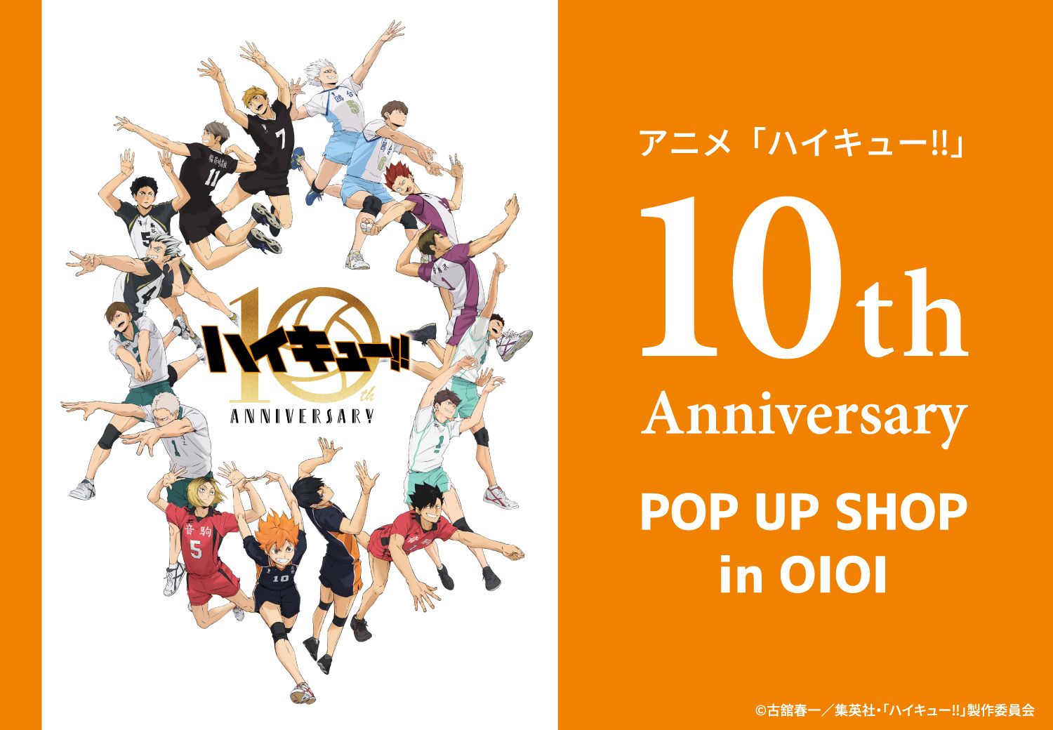 ハイキュー ポスター 販促 書店用 非売品 POP
