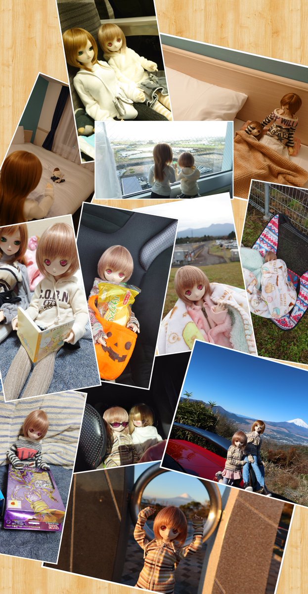 2_7_Fullmoon's tweet photo. なな が我が家にきて11年11歳の誕生日。
なんでもない日々の積み重ねが幸せだね https://t.co/ukd7gk3uOH