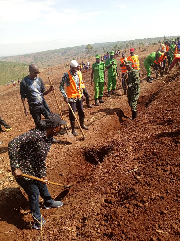 KayonzaDistrict's tweet photo. Uyu munsi mu midugudu yose igize akarere hari kuba Umuganda rusange usoza ukwezi kwa Kanama 2024. Ku rwego rw'Akarere #umuganda uri gukorerwa mu murenge wa Ruramira, Akagari k'Umubuga, umudugudu wa Kajembe, aho abawitabiriye bacukuye imirwanyasuri kuri 4 Ha. https://t.co/pAh7pvsSaX