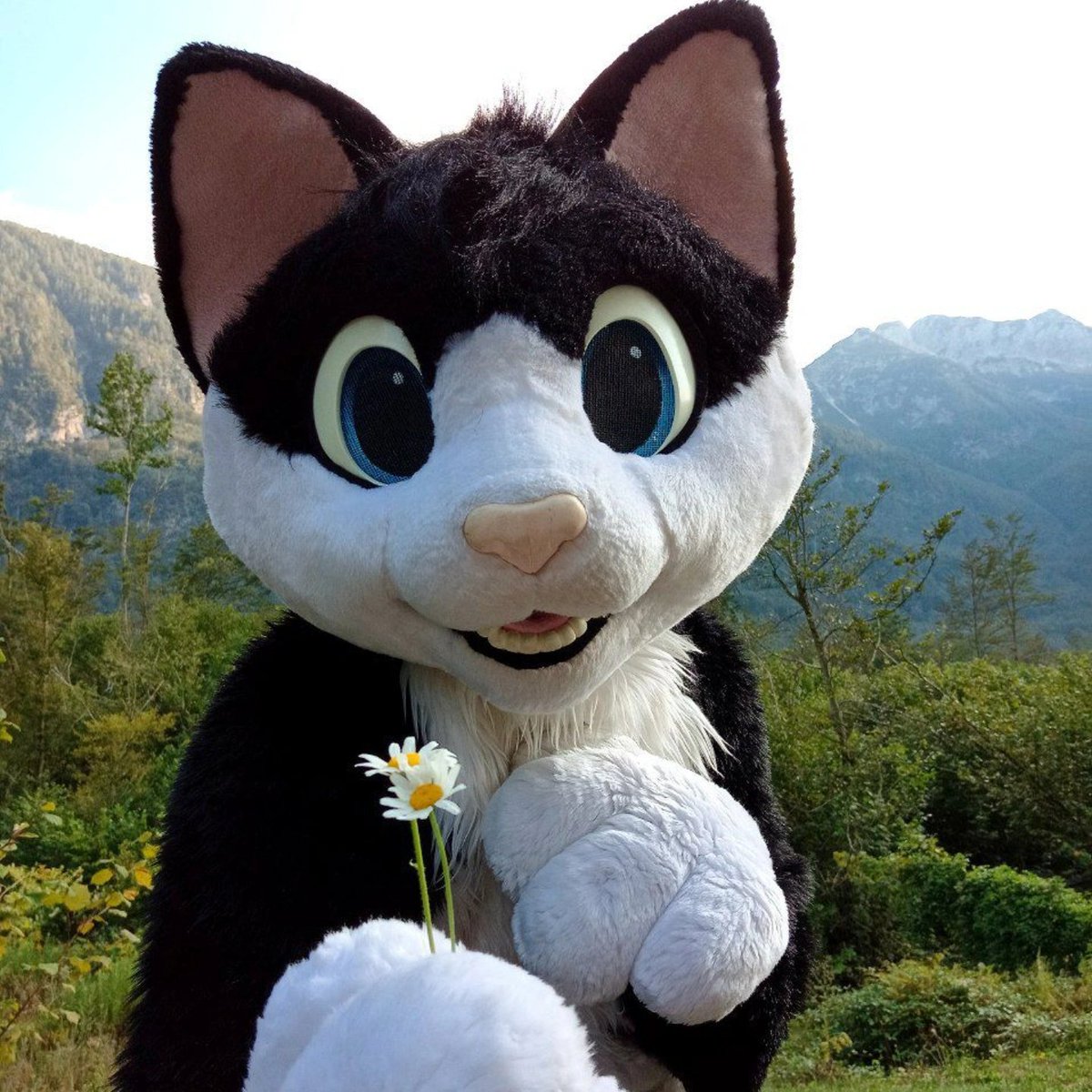 For you ♥️ 
#furry #cat