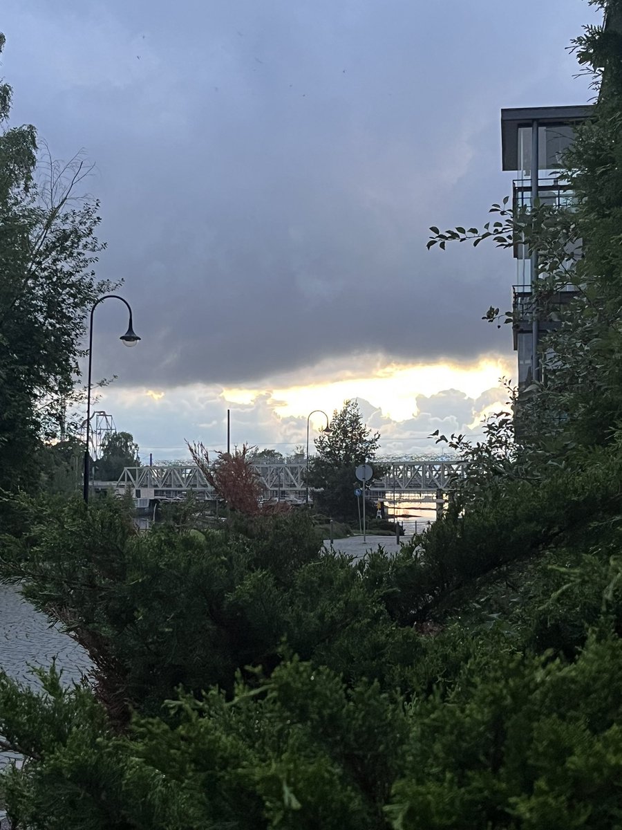 Hyvää luontopäivää Tampereelta!
Kuva 16.8.2024