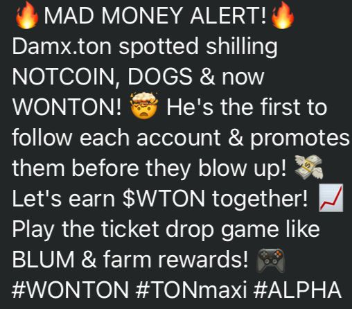 🥟Let's earn $WTON and WONTON collections together!🍜

t.me/WontonOrgBot/g…

 #WONTON #TONmaxi #ALPHA