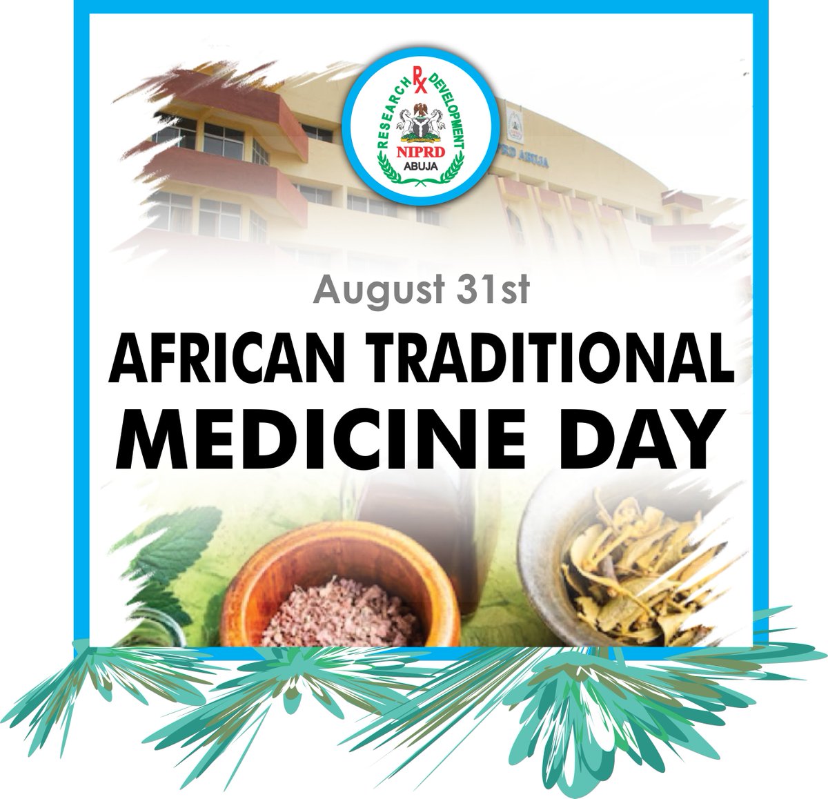 Dr Obi Adigwe tweet media