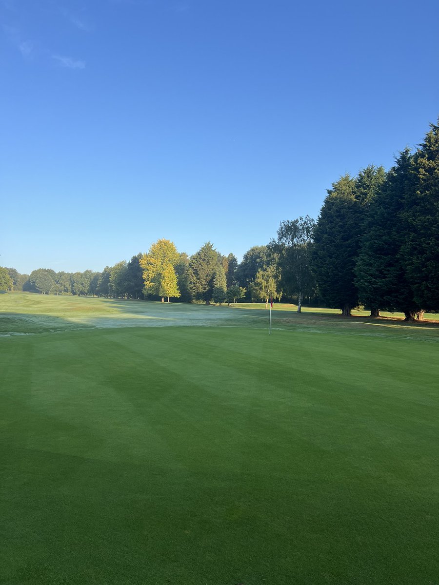 Gazwaite_Cm (@gazwaitecm) on Twitter photo 7 days difference following our maintenance week using <a href="/OriginAmenity/">Origin Amenity Solutions</a> <a href="/HeadlandAmenity/">Headland Amenity</a> c-complex 4-3-4.
Micro hollow tine
Double -10 scarify
7 inch solids
90 tonne Mansfield 7 days difference following our maintenance week using <a href="/OriginAmenity/">Origin Amenity Solutions</a> <a href="/HeadlandAmenity/">Headland Amenity</a> c-complex 4-3-4.
Micro hollow tine
Double -10 scarify
7 inch solids
90 tonne Mansfield