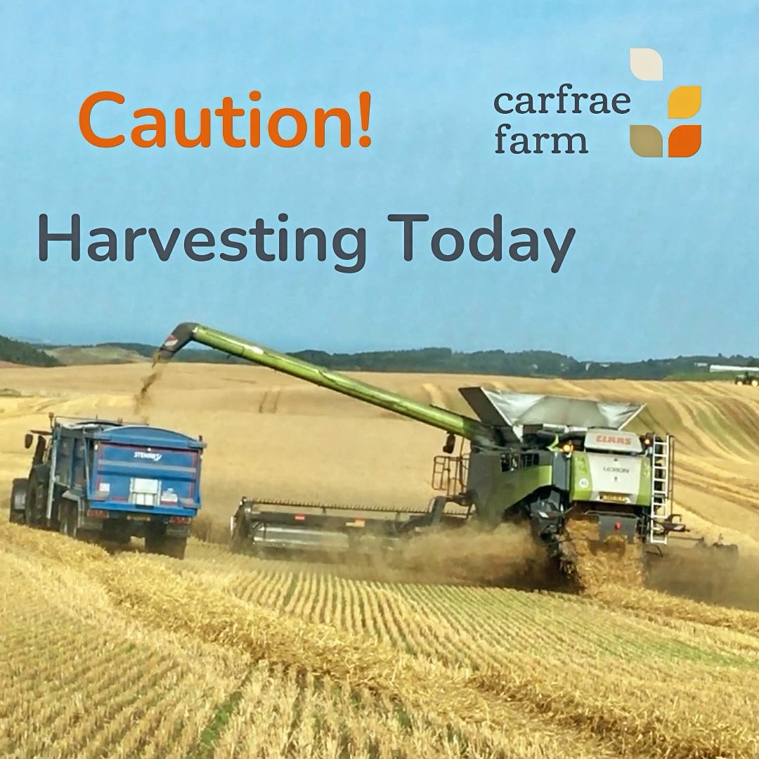 Carfrae Farm (@carfraef) on Twitter photo ⚠️CAUTION! Please take care on the roads surrounding the farm today - the combines are cutting wheat and there are lots of tractors and trailers around. Thank you 🚜 ⚠️CAUTION! Please take care on the roads surrounding the farm today - the combines are cutting wheat and there are lots of tractors and trailers around. Thank you 🚜