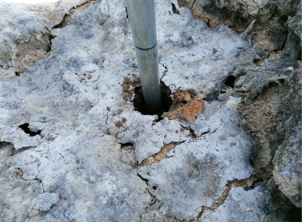 Adv Arròs de Pals tweet media