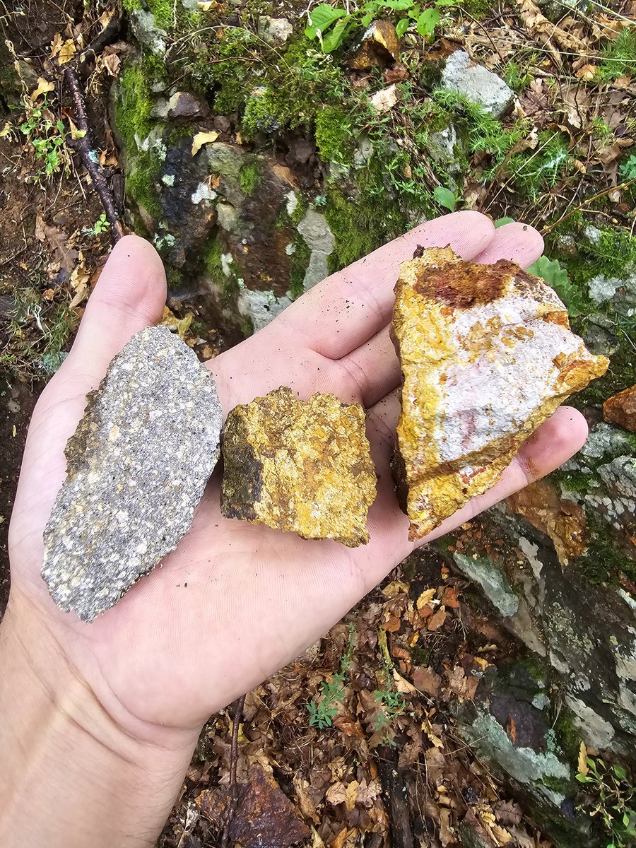 mentordemi's tweet photo. Almost a textbook Epithermal alteration transition in one of our new prospects in #Kosovo.
Reconnaissance sampling returned up to 9 grams per ton #Gold. https://t.co/1VIyLcUKfi