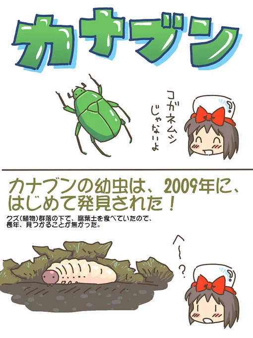 売れのこったブラウン管のおはなし。(1232)

カナブンのひみつ 