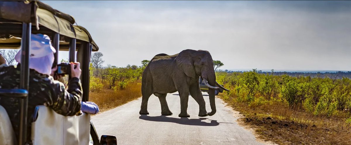 tripdiscounter's tweet image. 🌍 Ben jij klaar voor een uniek avontuur? Fly &amp;amp; Drive Zuid-Afrika vanuit Johannesburg: incl. vlucht, huurauto, ontbijt &amp;amp; 2 excursies!

🏞️✈️ #ZuidAfrika #Avontuur
tripdiscounter.nl/product/23085-…