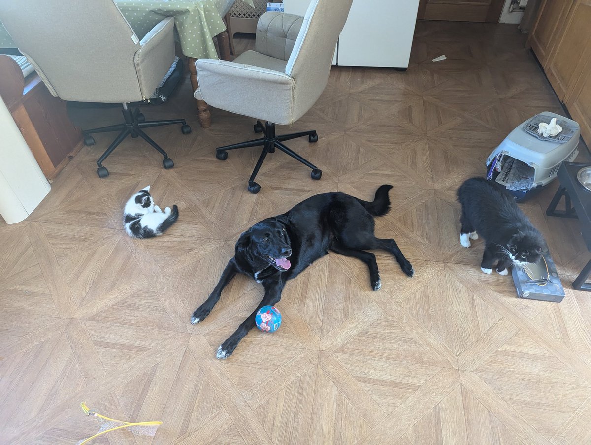 J Nightmares tweet media