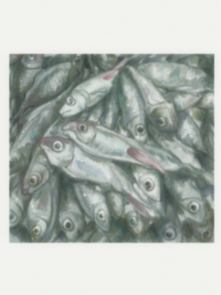 foggy0000's tweet image. 