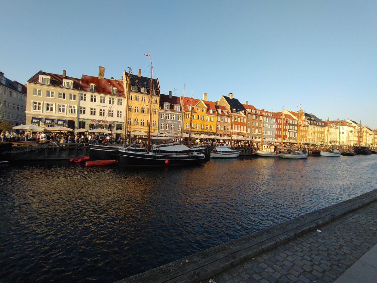 Had the most amazing time meeting new people and old friends, presenting my newest results #emc2024 in Copenhagen. 4 years later than initially planned it feels like the last puzzle piece to grow during my PhD was added. 1 year post graduation 🎓