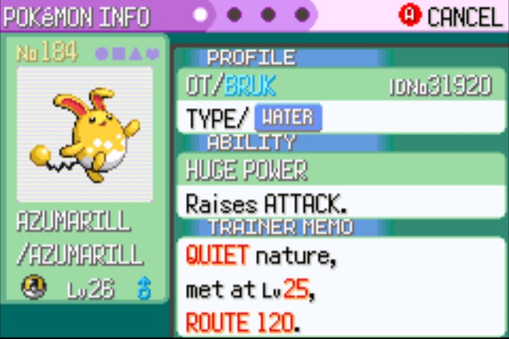 Ontem capturei um Marill shiny no pokemon emerald, hoje virou um ovo de ouro brabo demais
