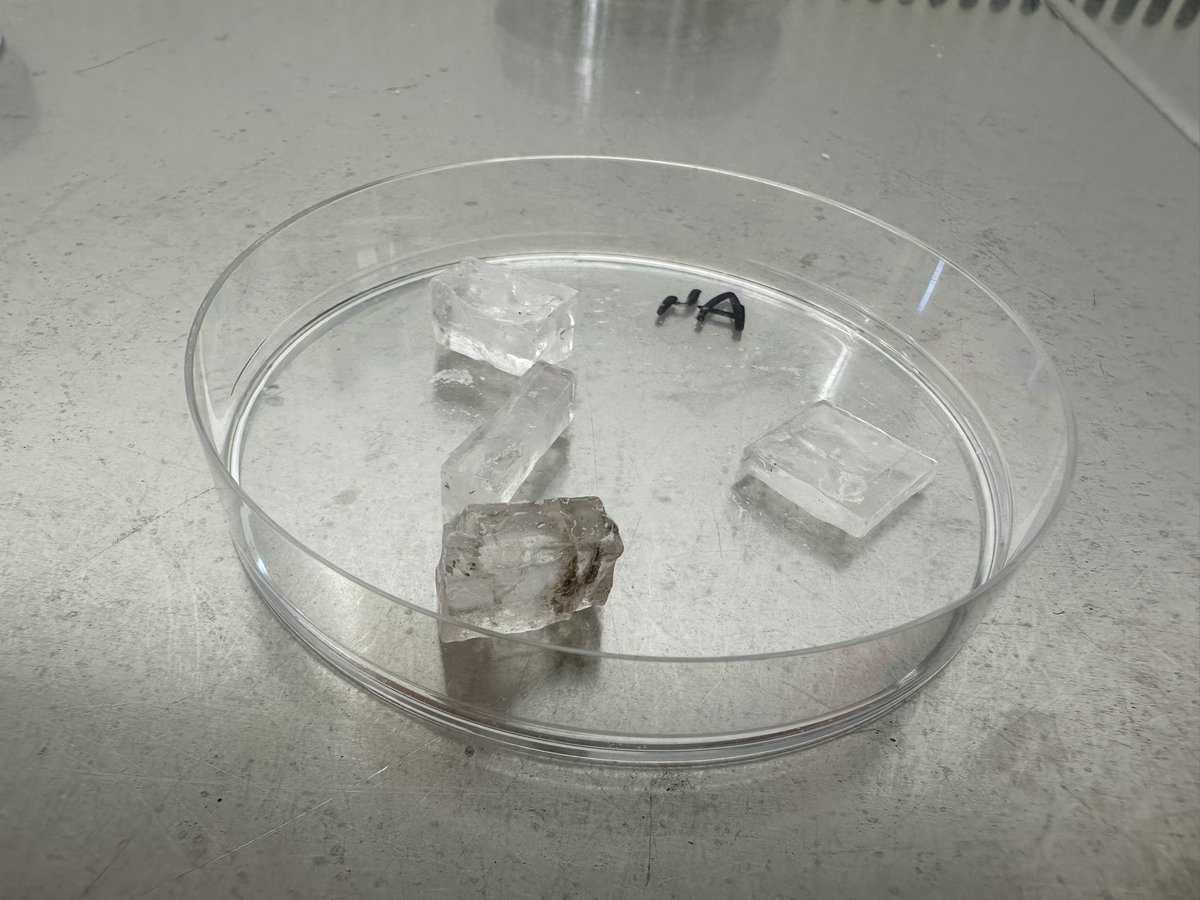 Utsav Dhiman tweet media