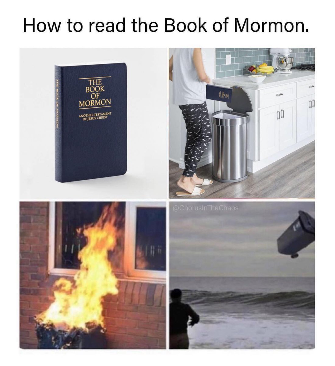 Protestia's tweet image. 