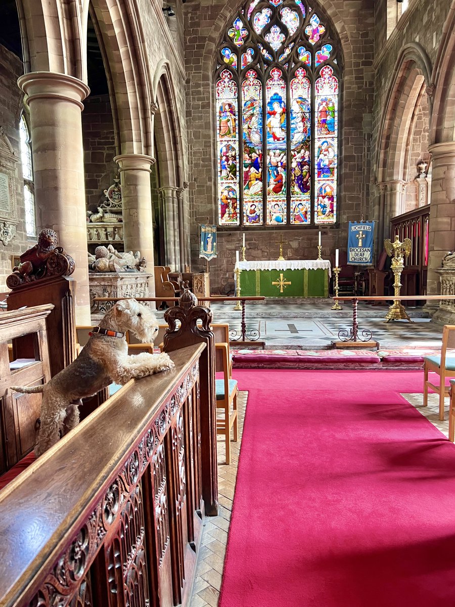 Bertie Lakeland tweet media