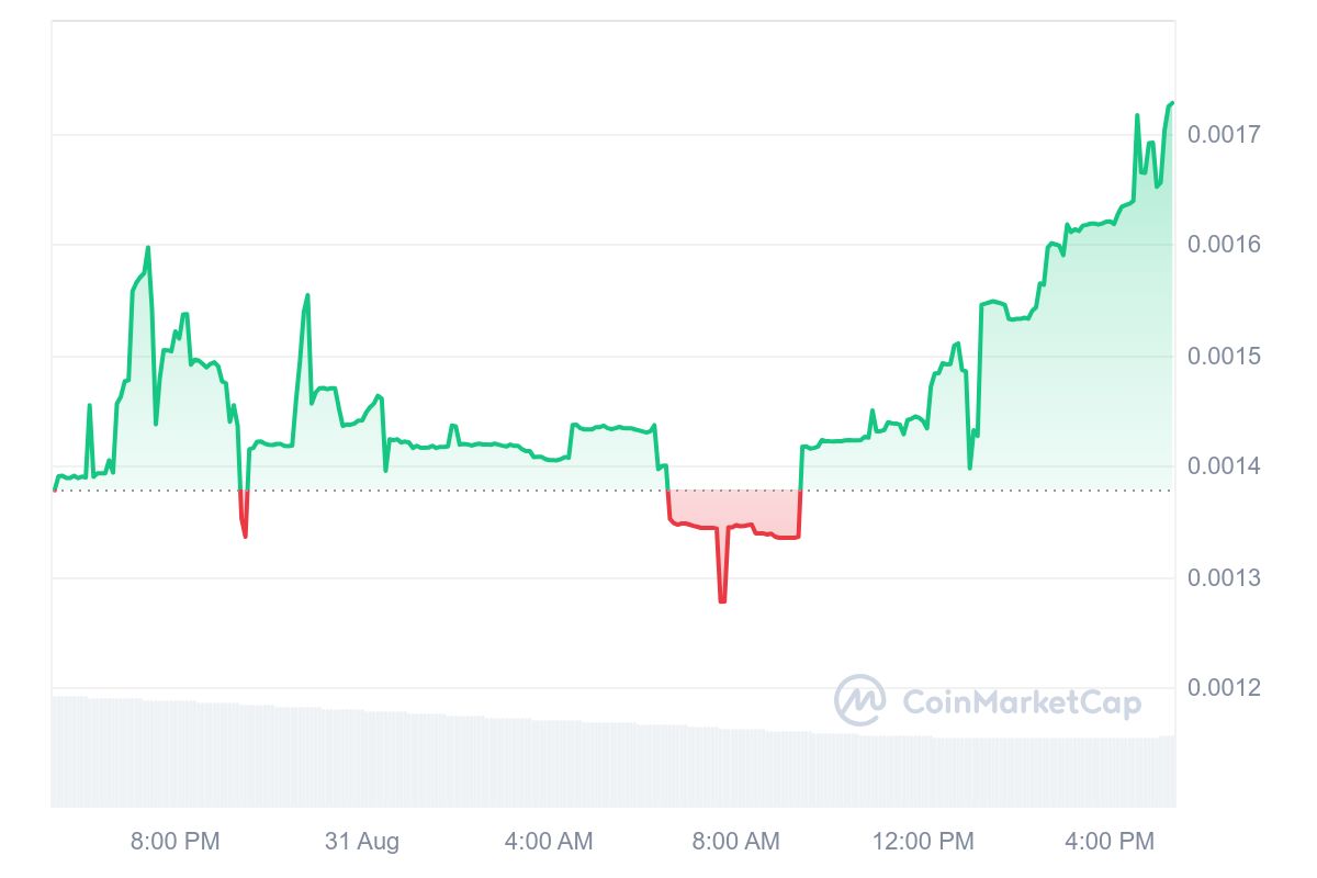 WhaleCryptoBets tweet media