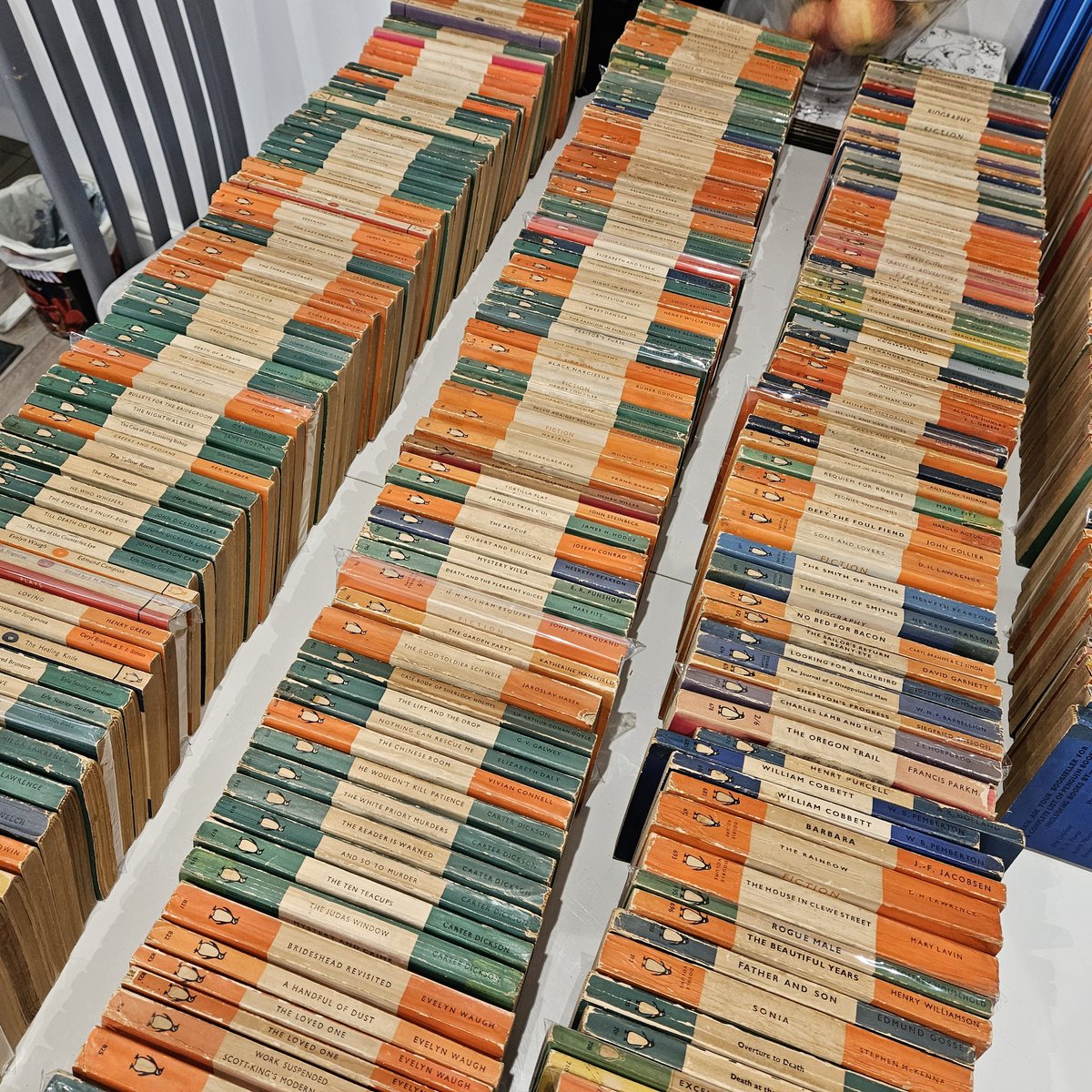 Jules Burt @julesburt-yt.bsky.social tweet media