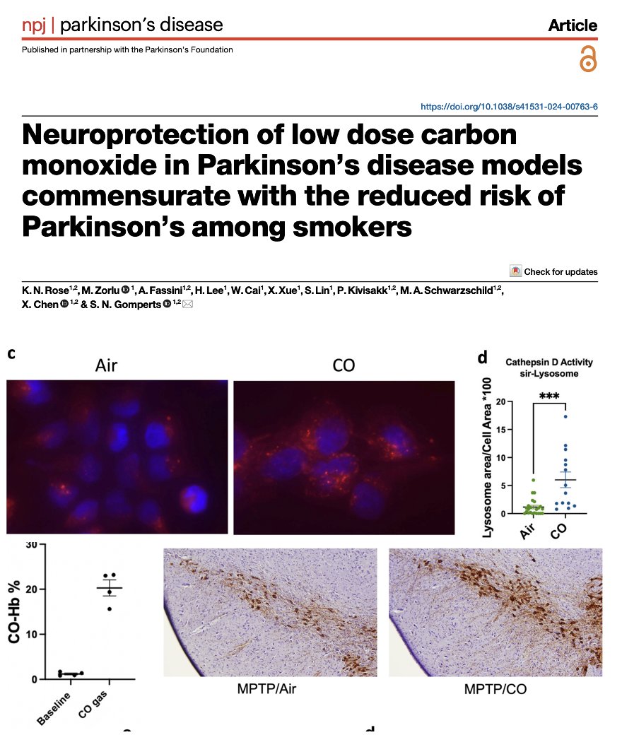 Why are smokers protected from Parkinson's disease? Have we been looking at the wrong element in smoke? Nicotine instead of carbon monoxide? Rose, Gomperts and colleagues <a href="/Nature/">nature</a> Parkinson's Journal show that there was neuroprotection w/ low dose carbon monoxide in Parkinson’s