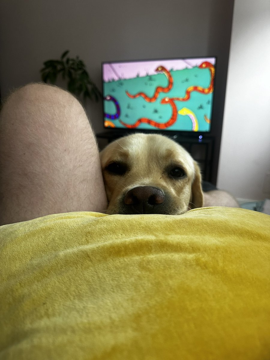 markypops6's tweet image. Needy weirdo.