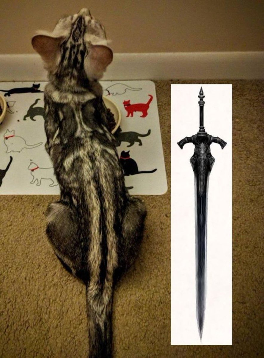 catshealdeprsn's tweet image. 