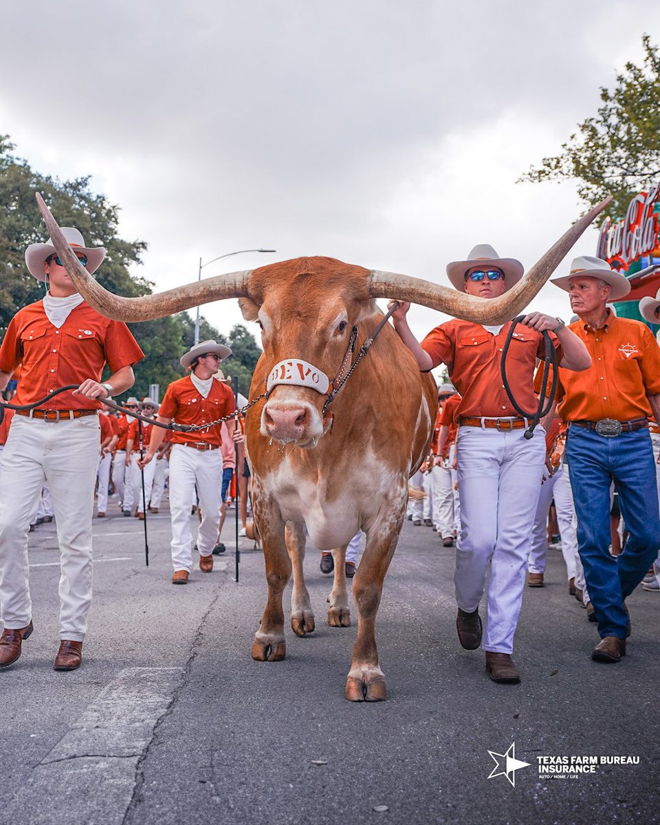 big man is finally here 🤩🤘

#HookEm | <a href="/TXFBinsurance/">Texas Farm Bureau Insurance</a>