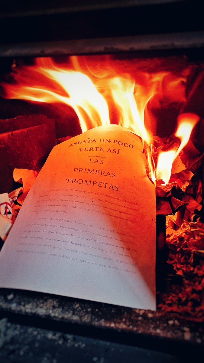 Vísperas de septiembre del 2024:
en esta casa ya estamos listos para compartir el mate necesario que antecede el (o los) proyecto de libro del 2025.
Ritual de cierre de AUPVA <a href="/facundodellaqua/">Facundo Dell Aqua</a>