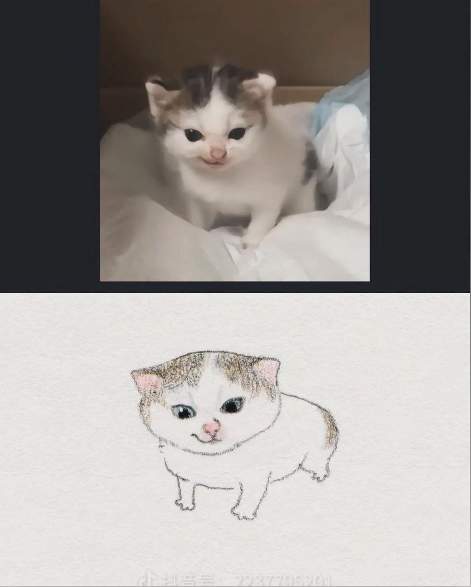 PostsOfCats's tweet image. “you look easy to draw”