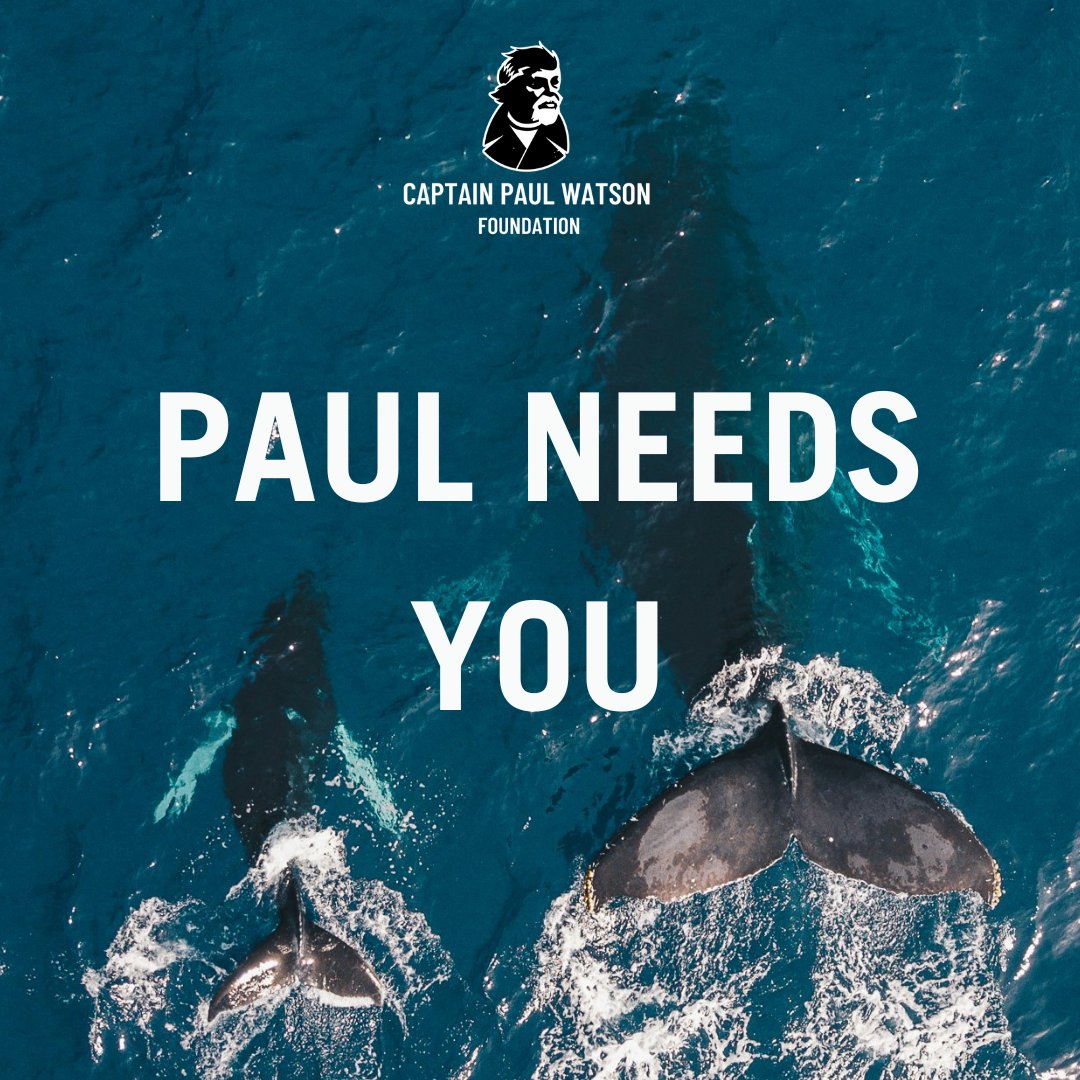 🚨 URGENT: We Need You! 🚨

In just 4 days, Denmark will decide the fate of Captain Paul Watson, our ocean defender who has dedicated decades to fighting for our seas. 🌊🐋

This is our moment to rally and show the world that we stand with him! Every action matters—no matter how