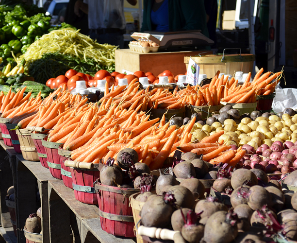 Weekend in Havana

🍹 Learn the art of crafting the perfect mojito in Old Havana

🥕 Visit a local farmers market to see Cuba's agricultural revolution firsthand. You'll find only local food in these bustling markets – almost always organic.
ow.ly/fCZJ50T5kCt