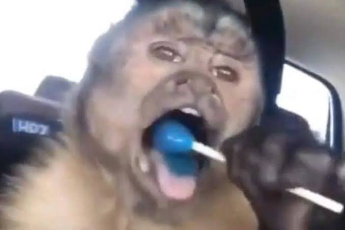 hugowx_'s tweet image. Días, porque buenos mis picks 😮‍💨

Hoy ganaremos:
- Paso 3 del reto gratis $1,600 a $10,000
- Parlay +1,500

Doble bank este mes, llevo 9 picks de MLB ganados al hilo. El que sabe sabe 😎

¿Van a querer seguir ganando? Cada ❤️ es un SI