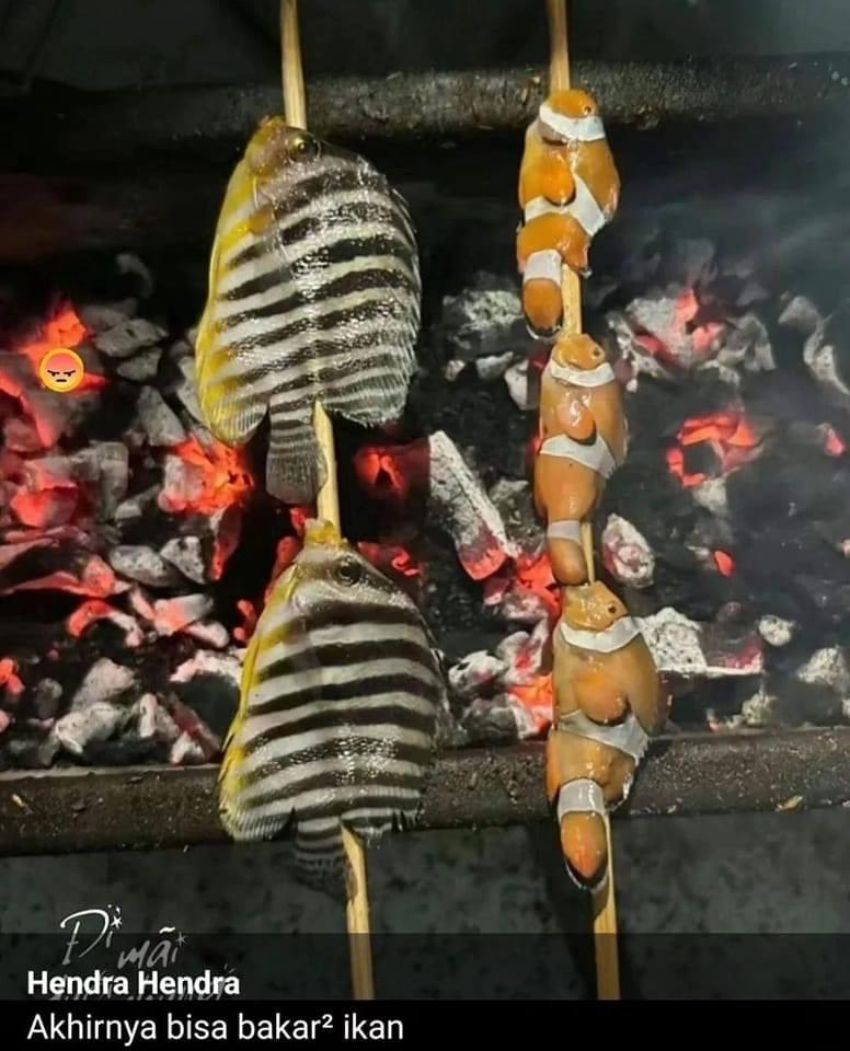 sosmed keras tweet media