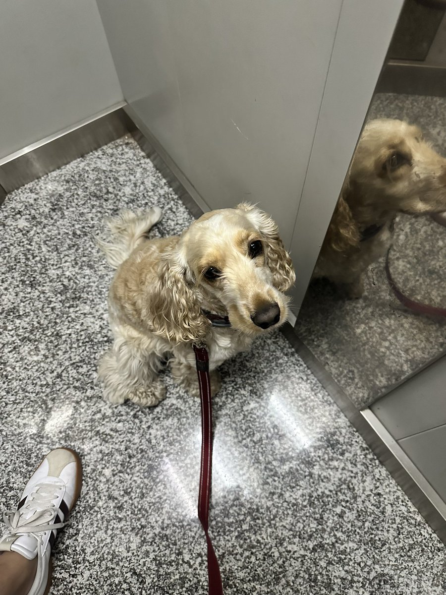 devpreacher's tweet image. A pasear un poco…