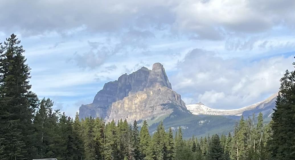 James Fell tweet media