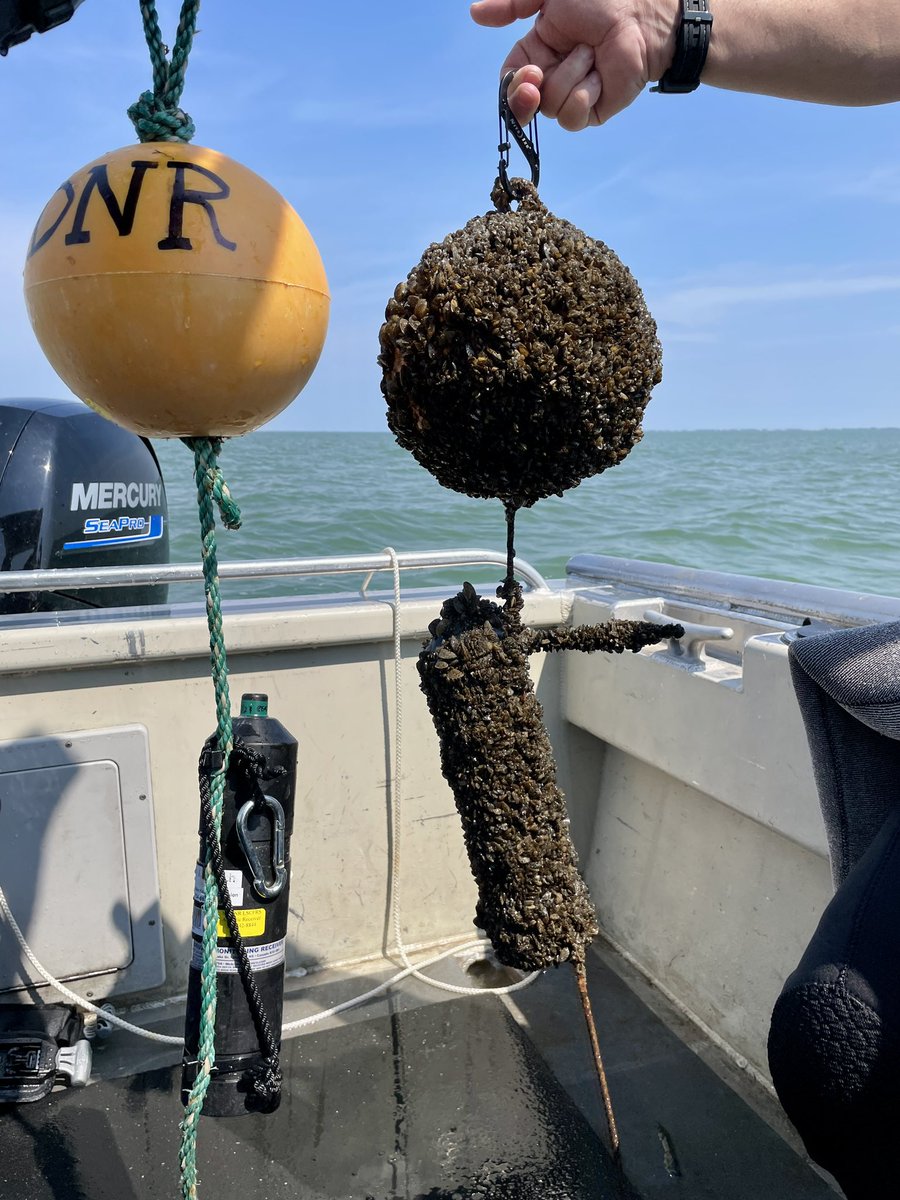 Brad Utrup tweet media