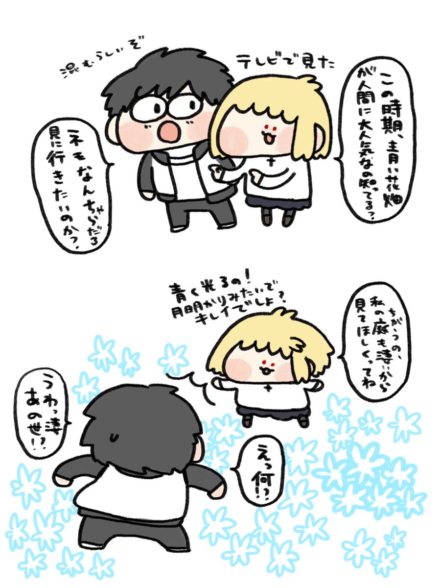 季節のアルクェイド盛り 