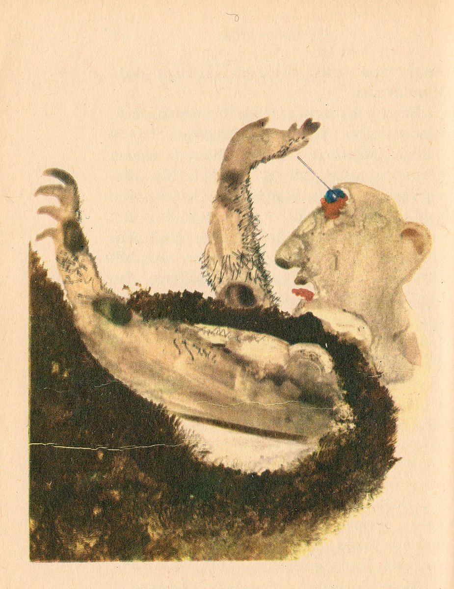 Gökhan Yücel tweet media