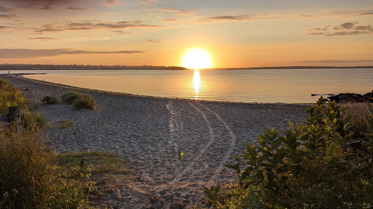 One of my favorite things about Rhode Island is being able to simply stumble on a beach during a morning run that I never knew existed.