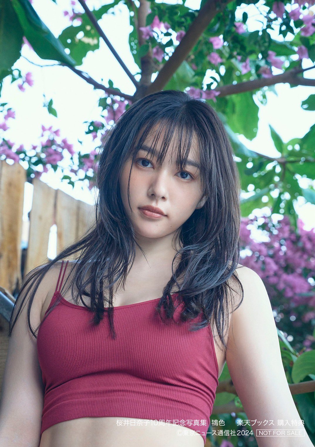 桜井日奈子 on X: 