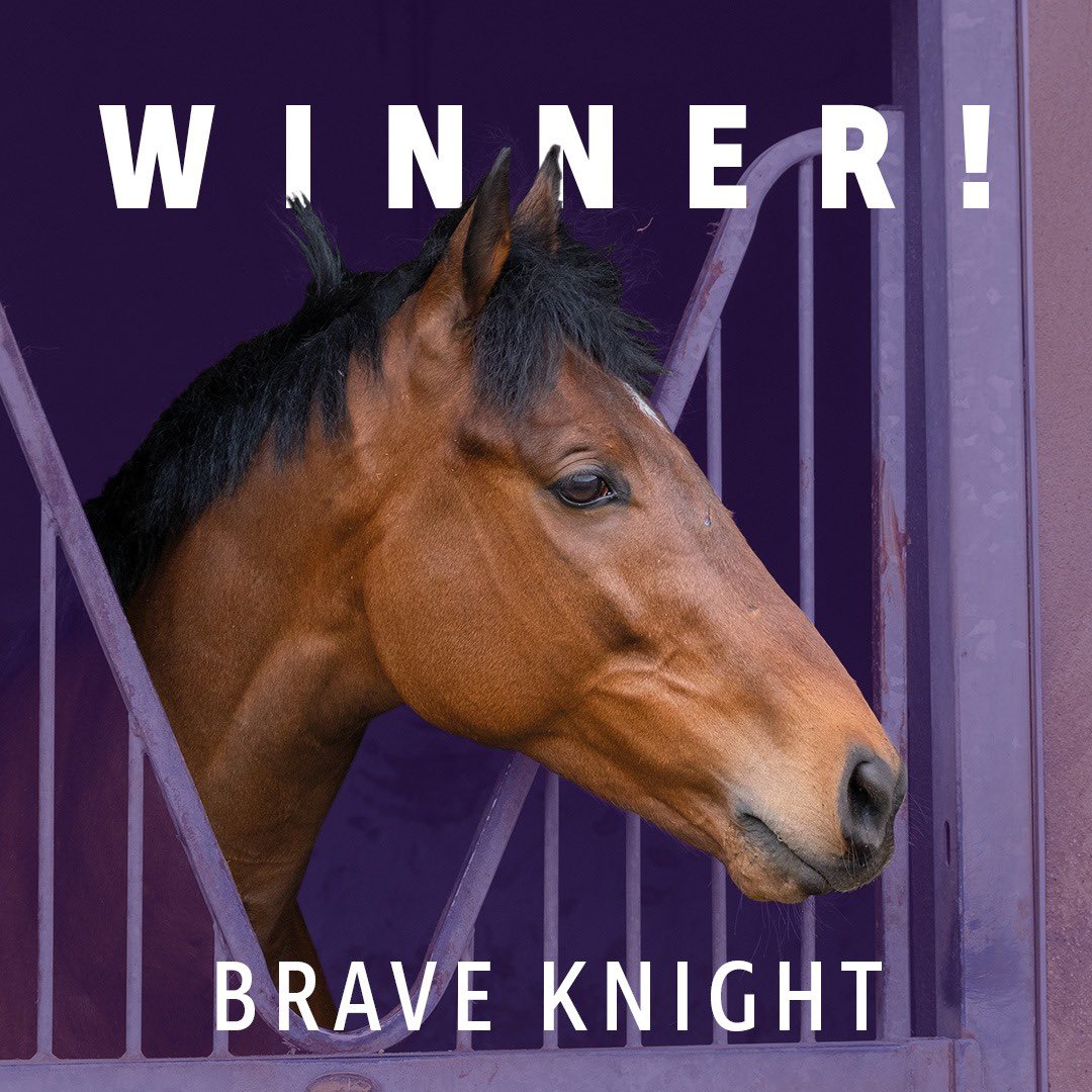 Brave Knight continues his progression with another win <a href="/NewtonAbbotRace/">Newton Abbot Races</a> for <a href="/PFNicholls/">Paul Nicholls OBE</a> <a href="/gingell_freddie/">freddie gingell</a> and his ownersgroup.co.uk owners. Congratulations to all #braveknight #ownersgroup 👏🏻 🏆